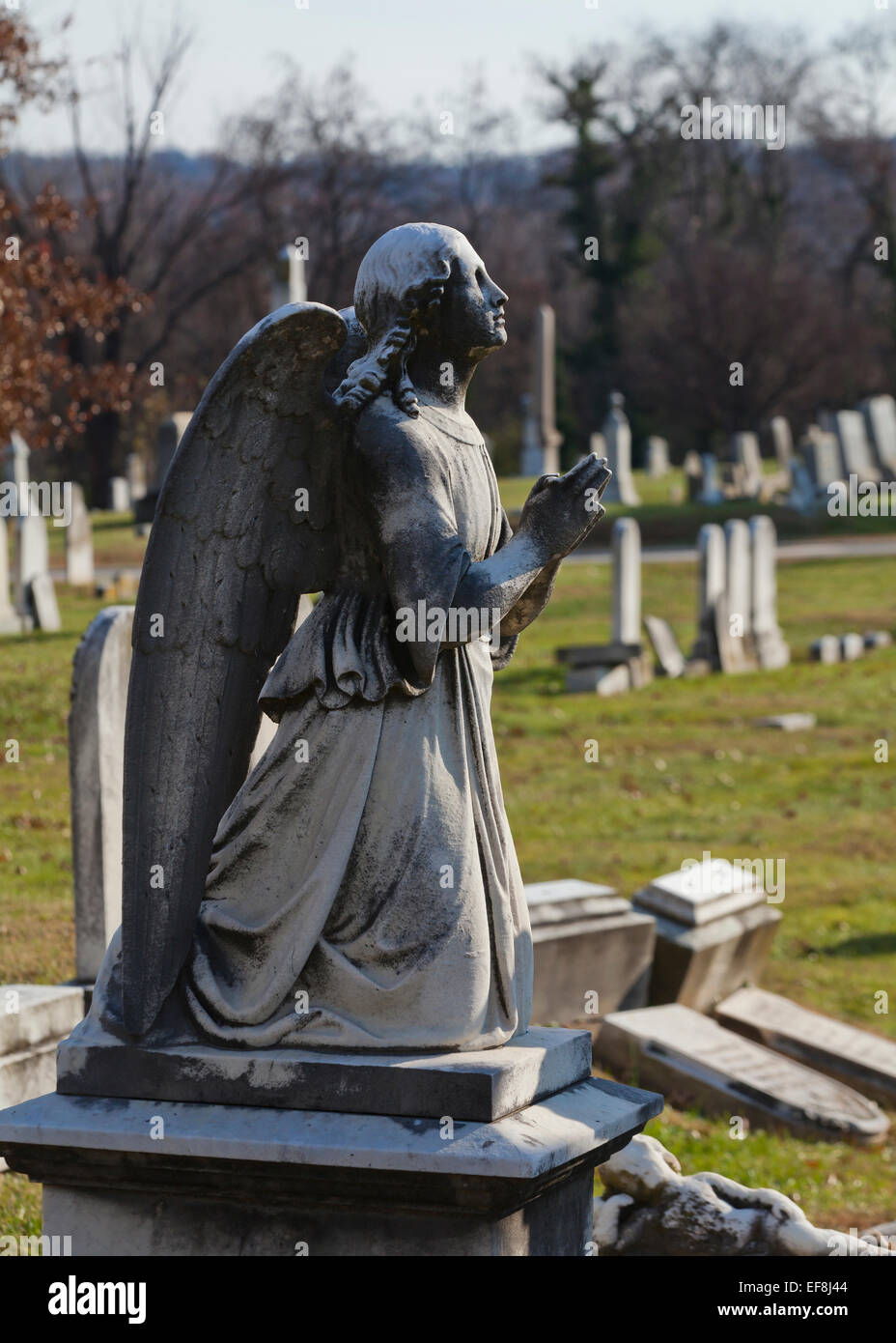 Angel statue at Congressional Cemetery - Washington, DC USA Stock Photo
