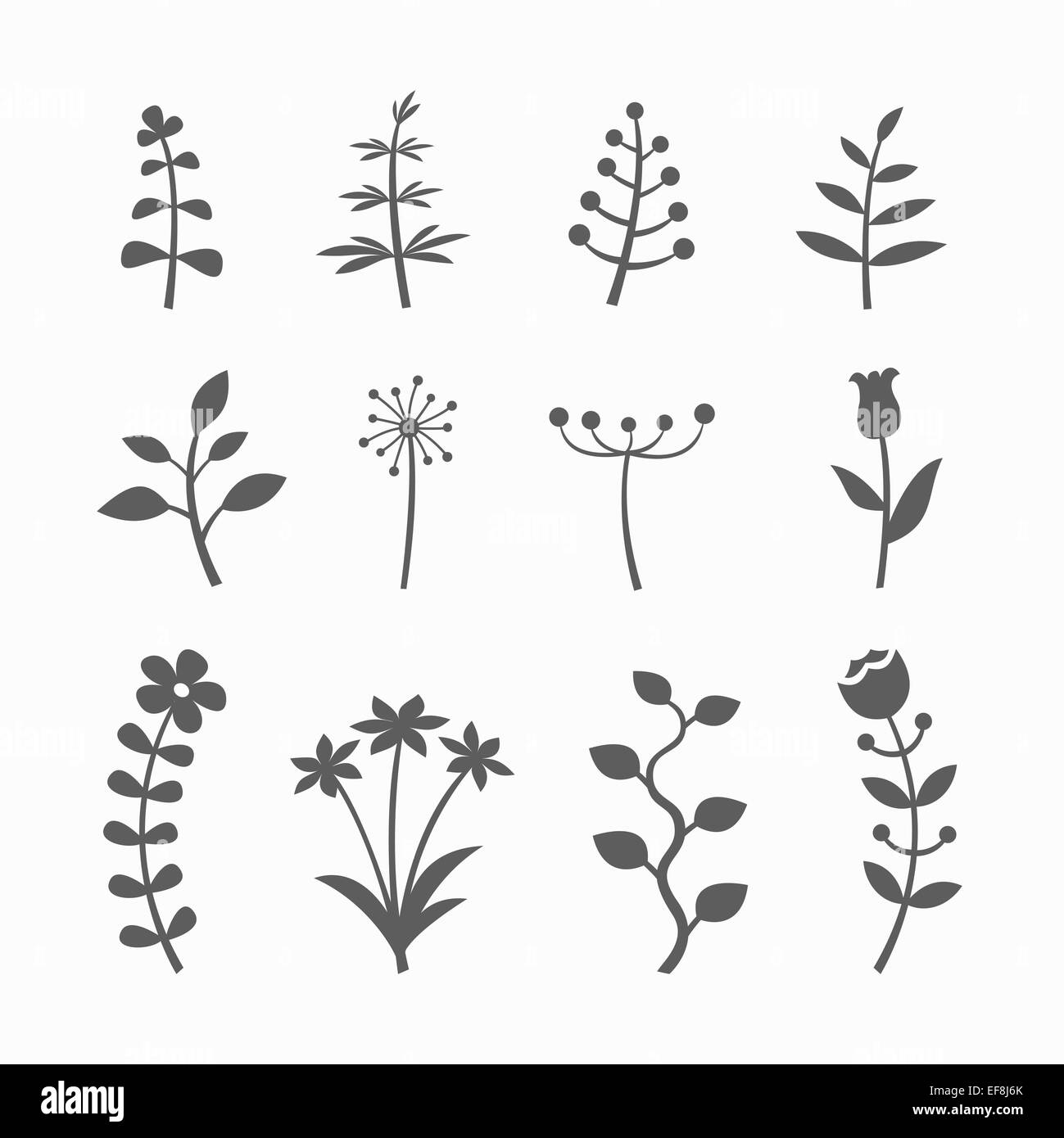 Vector Set Of Floral Graphic Design Elements With Flowers