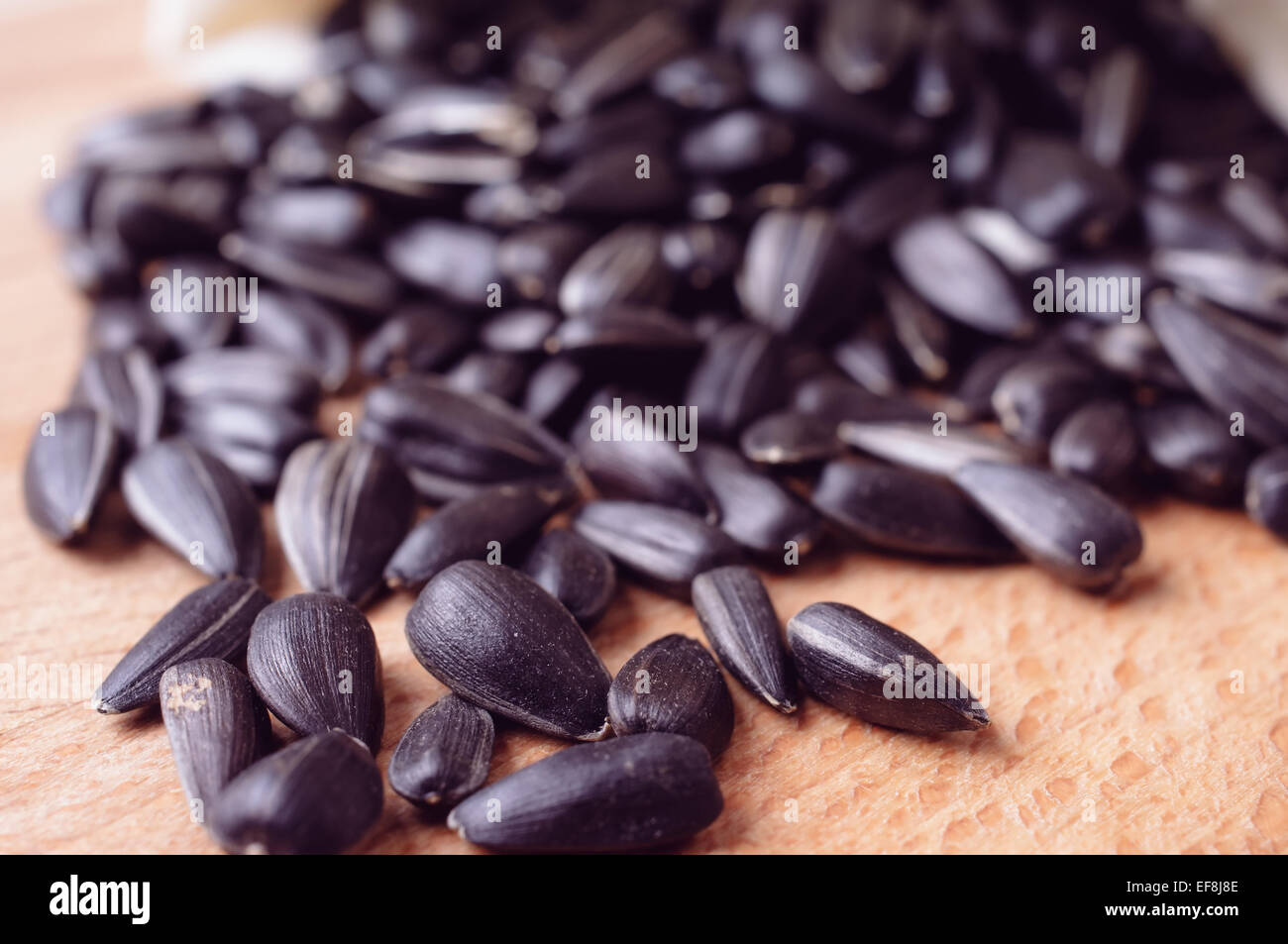 Sunflower seeds roasted closeup scattered Stock Photo