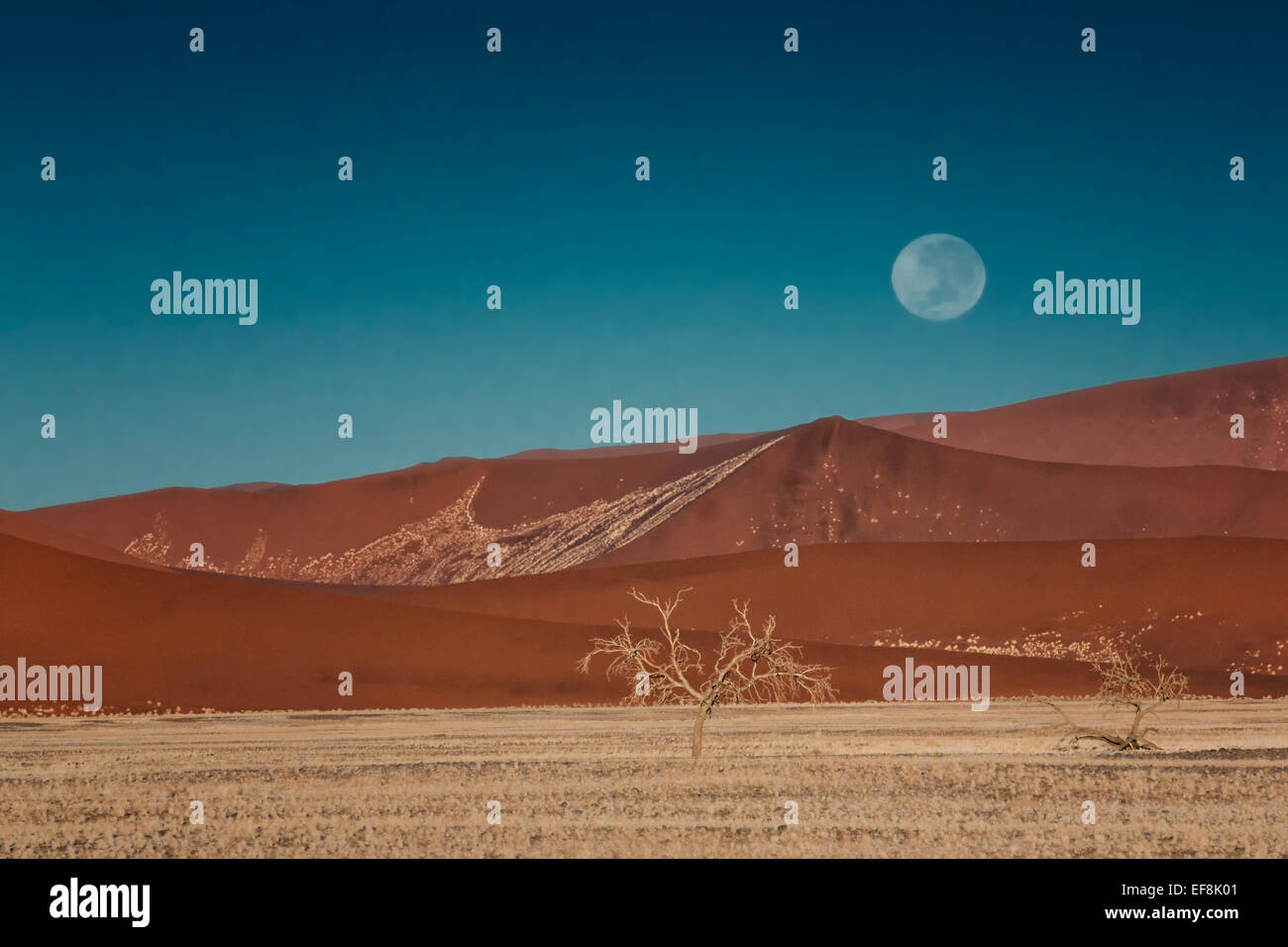 Sossusvlei under a full moon, Namib Desert, Namibia, Africa Stock Photo