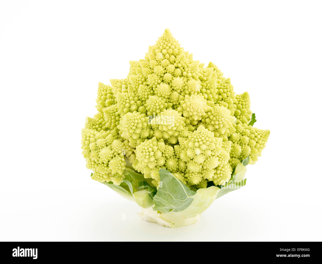 Romanesco aka Romanesque cauliflower or Romanesco broccoli - edible flower bud of Brassica oleracea. Stock Photo