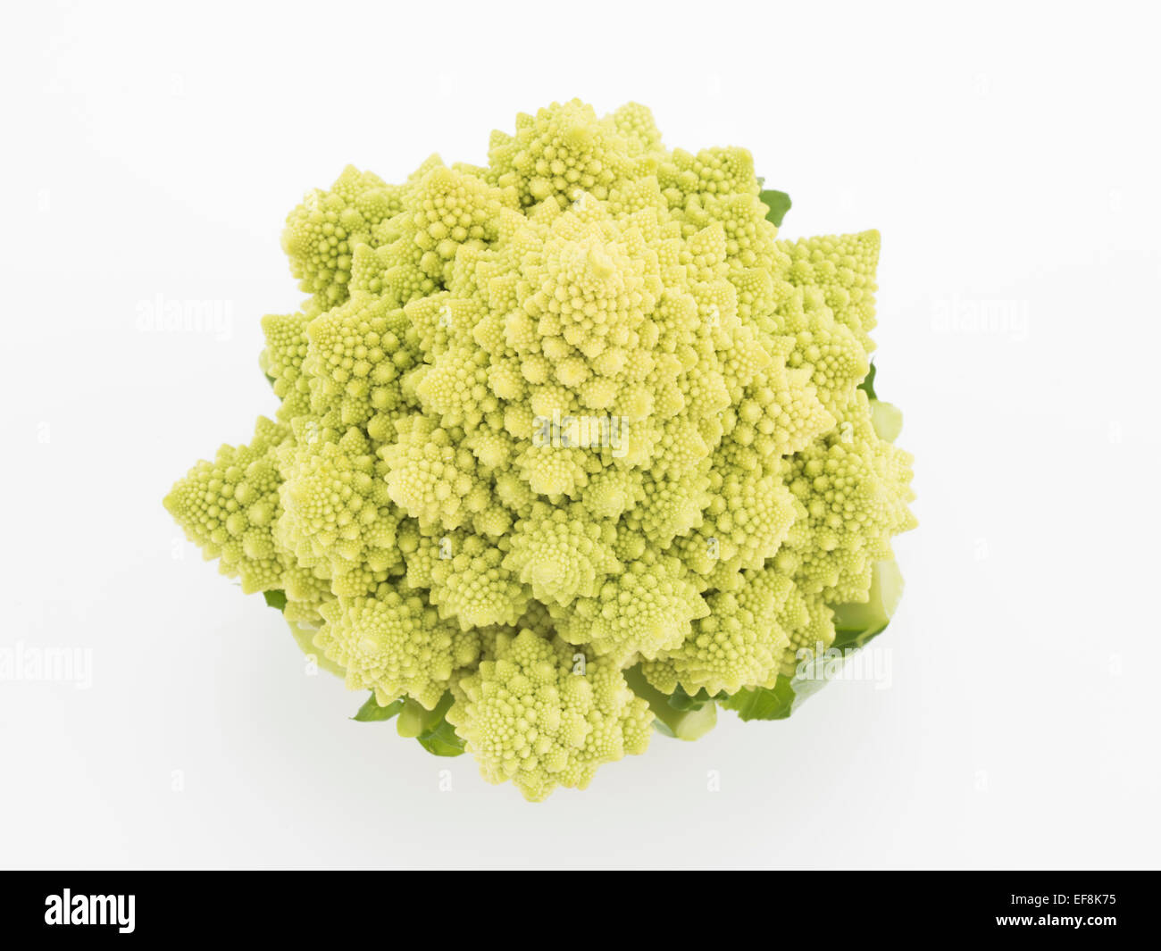 Romanesco aka Romanesque cauliflower or Romanesco broccoli - edible flower bud of Brassica oleracea. Stock Photo