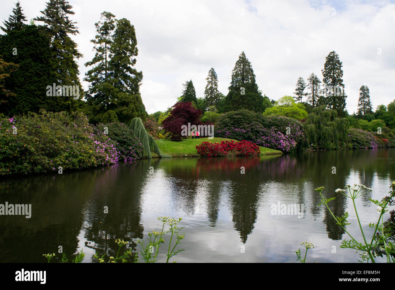 Sheffield Park and Garden, water, pond Stock Photo Alamy