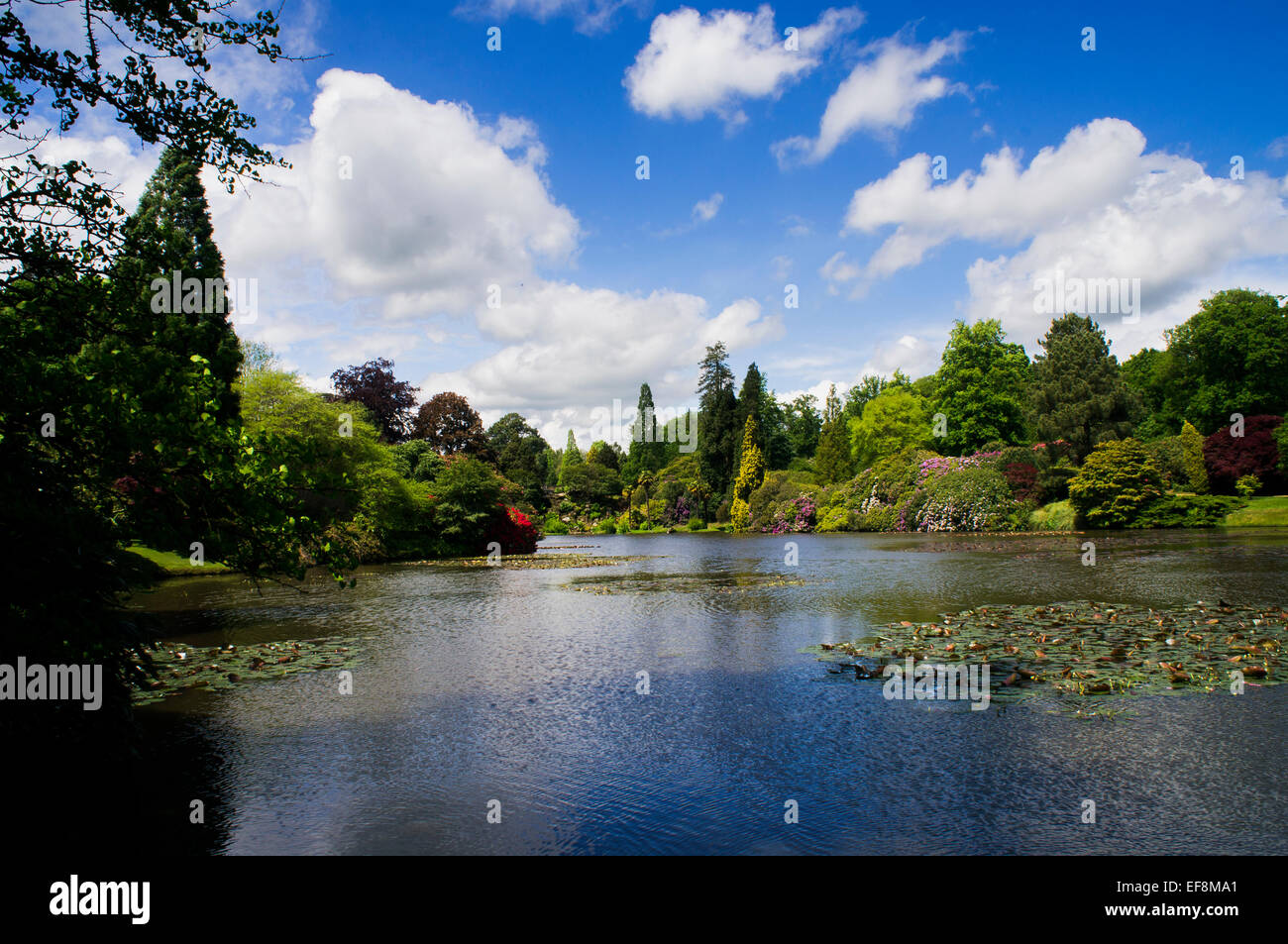 Sheffield Park and Garden, water, pond Stock Photo Alamy