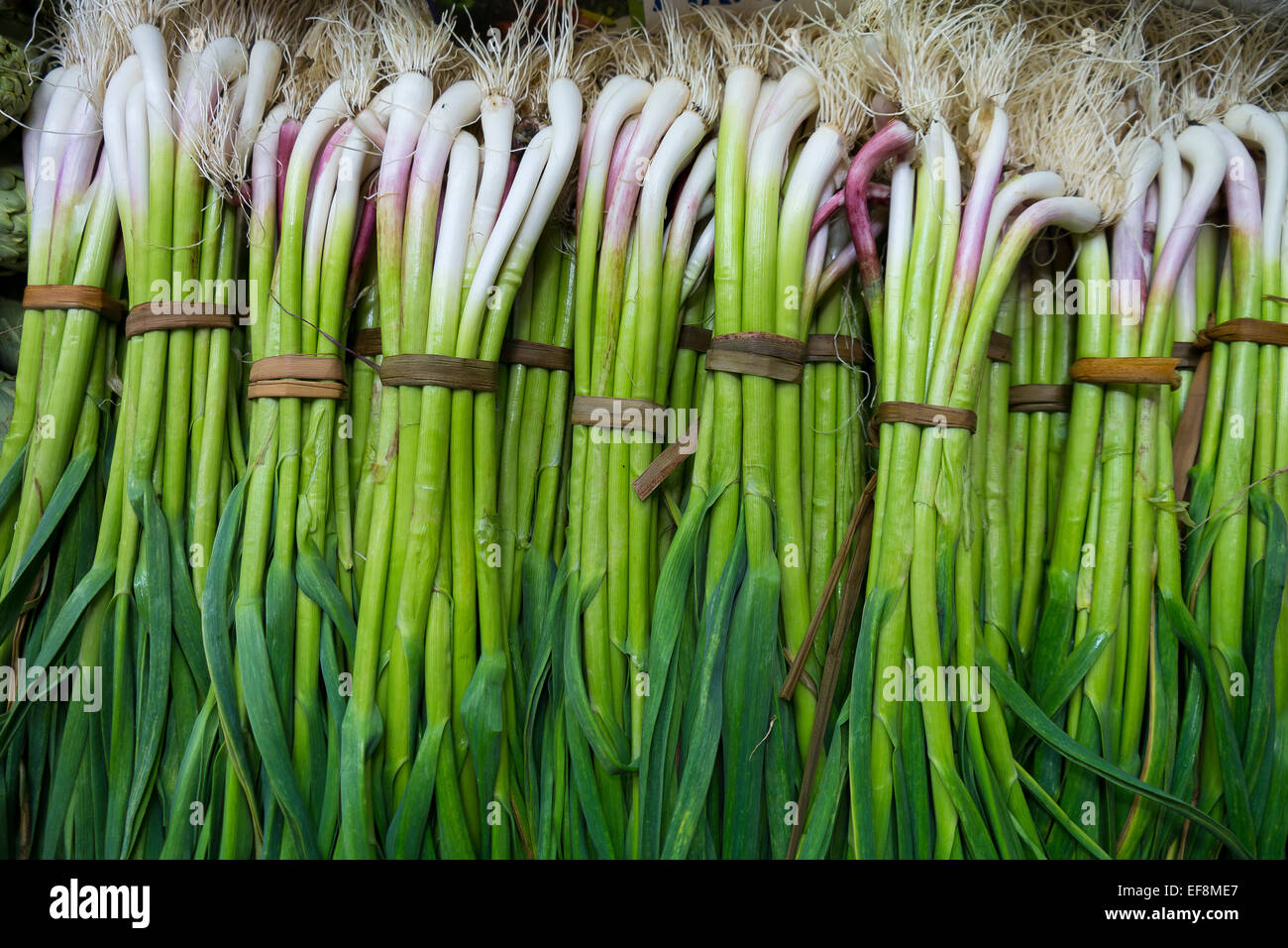 Bunch of spring onions Stock Photo