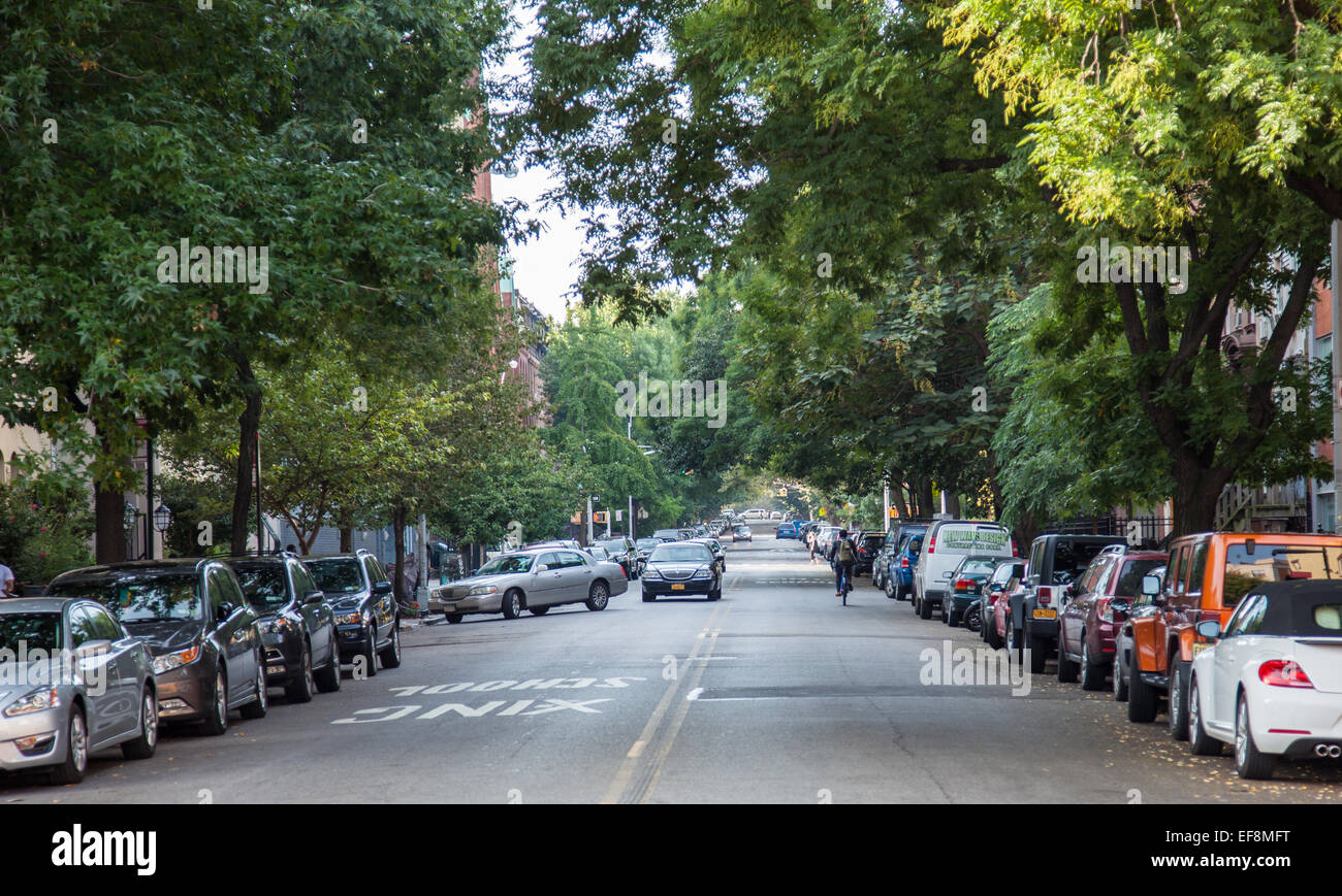 Quiete residential area in Brooklyn, New York City Stock Photo