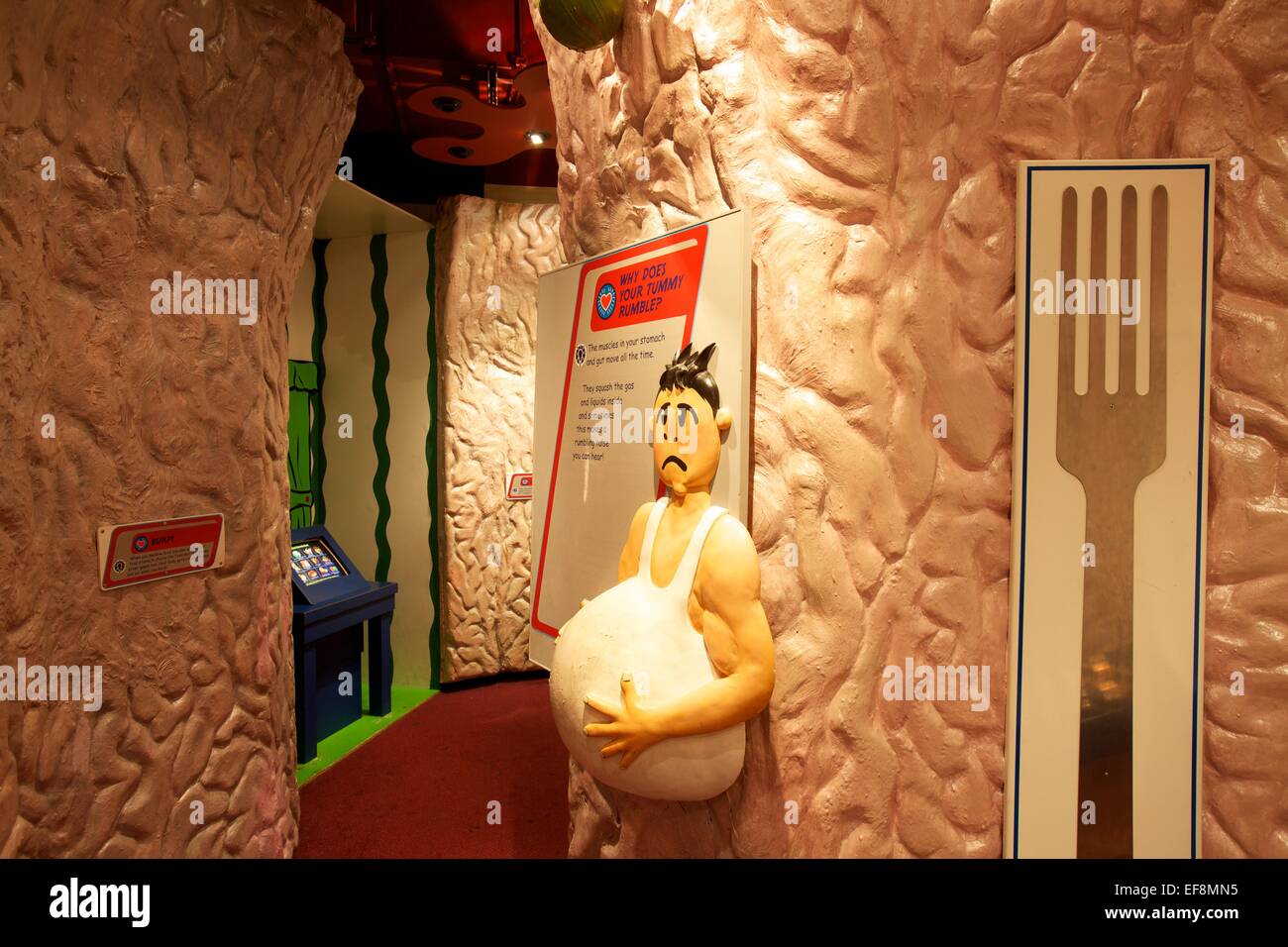 Thackray Medical Museum interior shot of themed areas Stock Photo Alamy