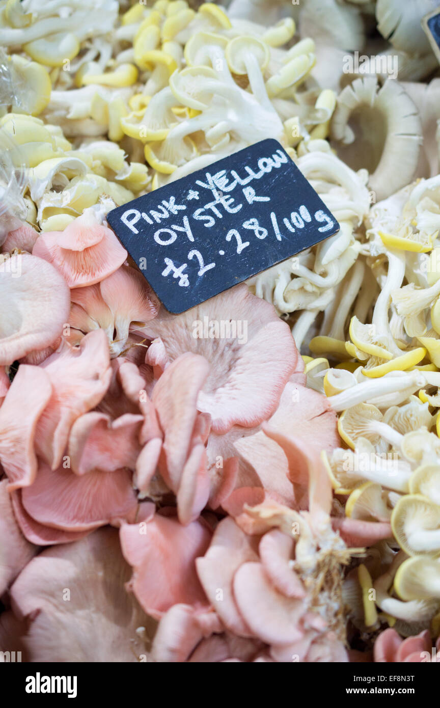 Pink and yellow oyster mushrooms, full frame with chalkboard price tag on a market stall at London's Borough Market, Southwark Stock Photo