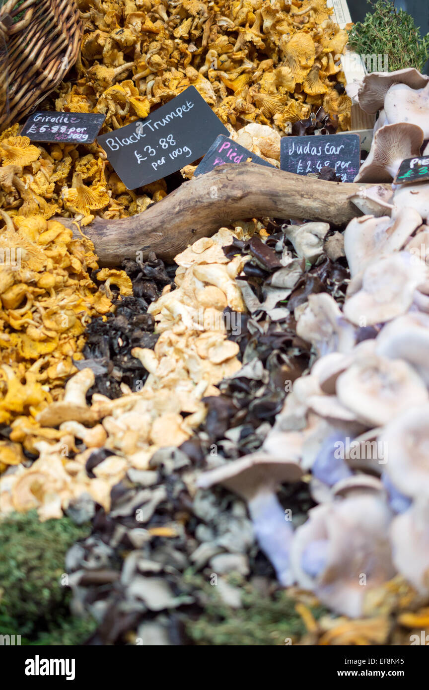 Wild mushrooms (Giroles, Pied Bleu, Judas Ear, Black Trumpet) on a stall at Borough Market, Southwark, London Stock Photo