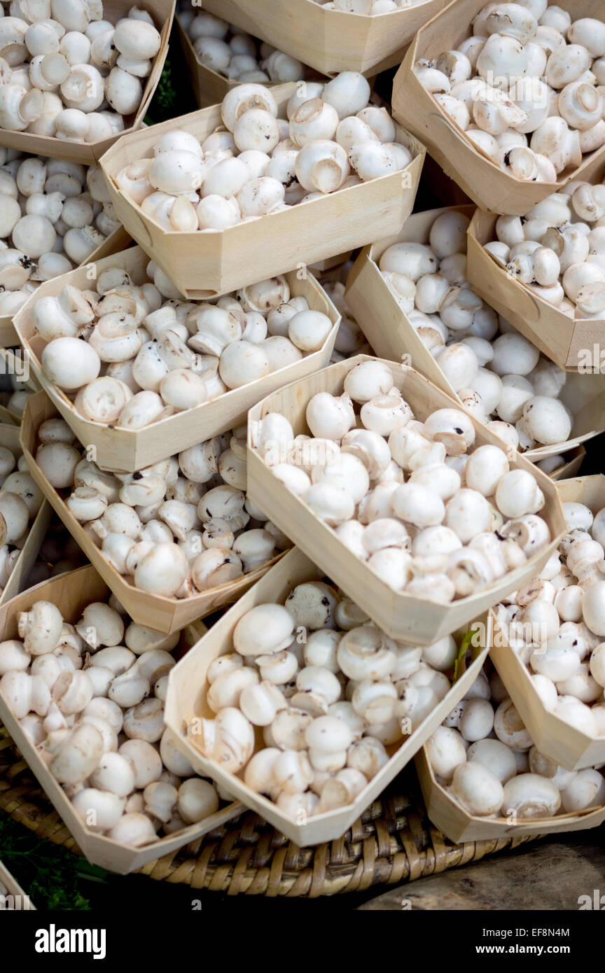 Baskets of button mushrooms on a market stall at Borough Market, Southwark, London Stock Photo