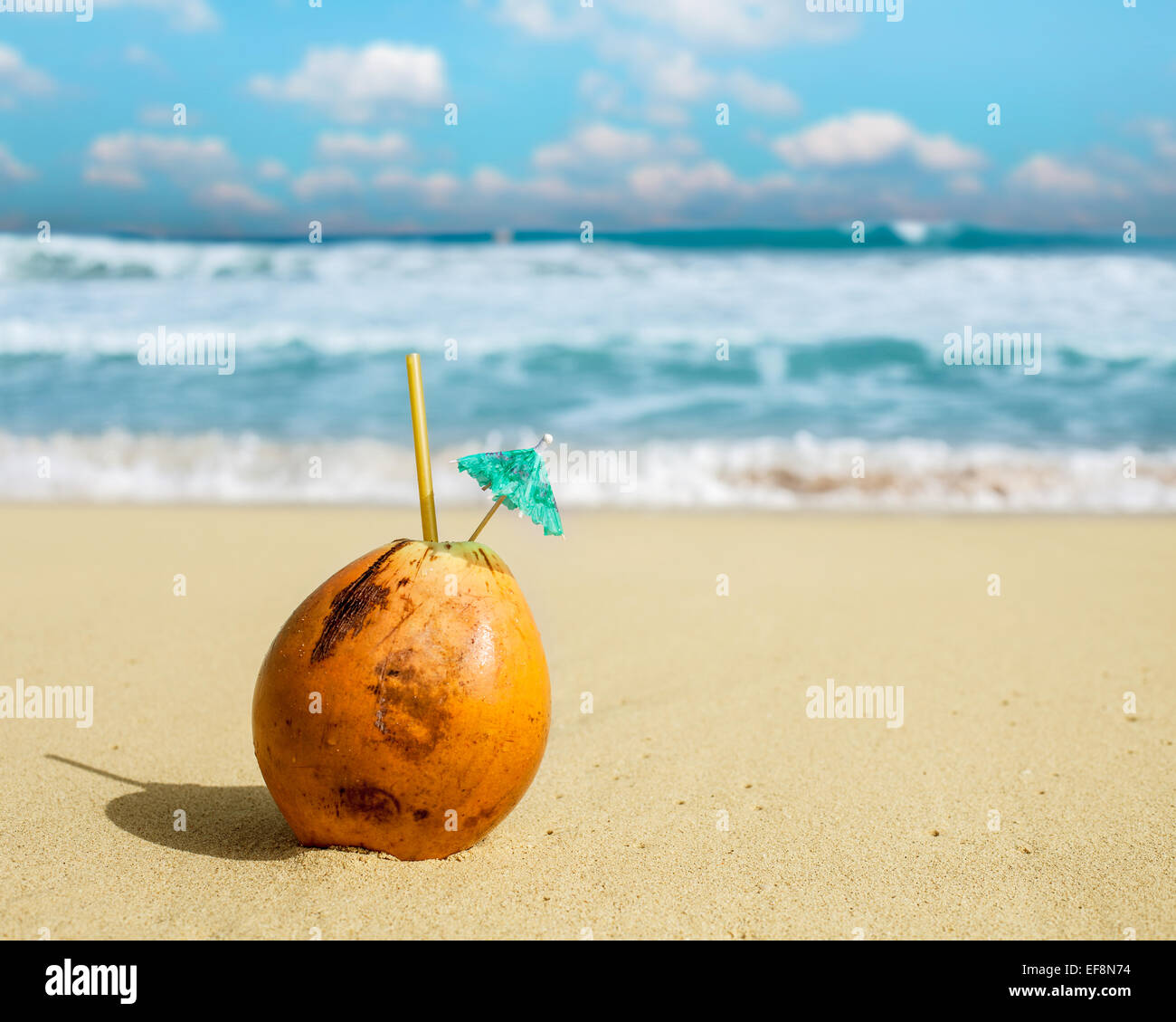 Coconut water nut on the beach. Stock Photo