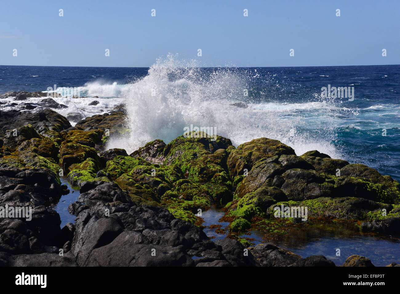 Spray, volcanic rock, volcanic coastline, west coast, St Leu, Réunion Stock Photo