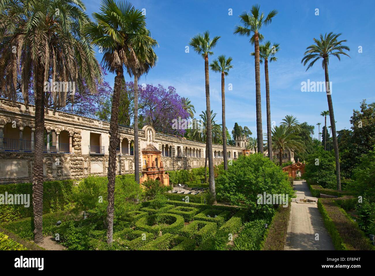 Garden in the Alcázar of Seville, Seville, Andalucía, Spain Stock Photo
