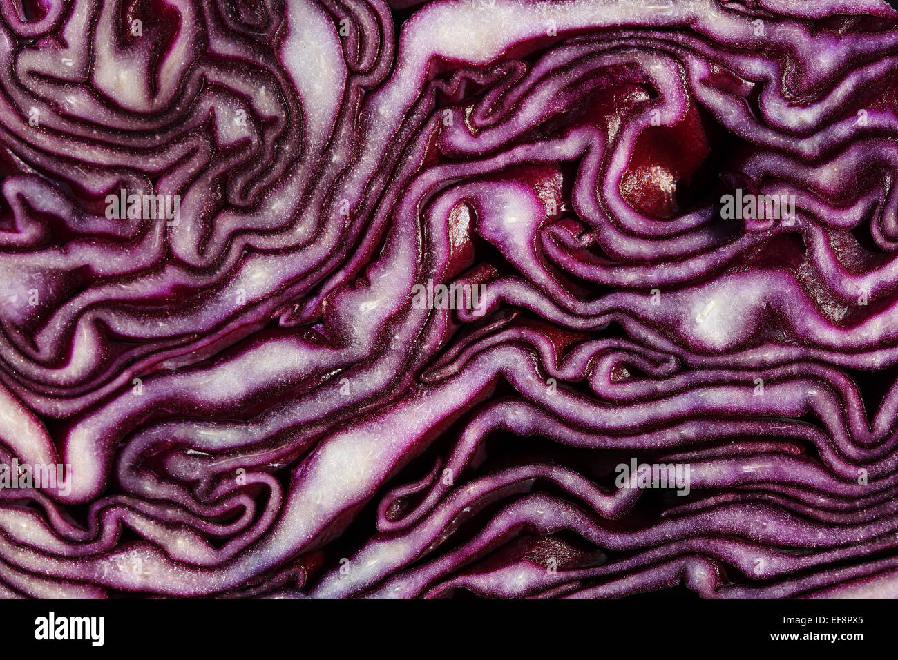Red cabbage, cut Stock Photo