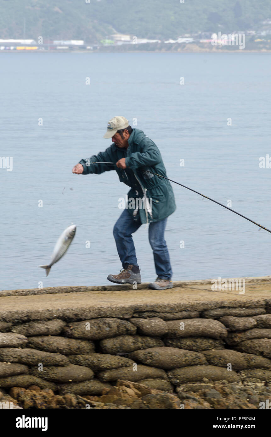 Man catching a fish hi-res stock photography and images - Page 10