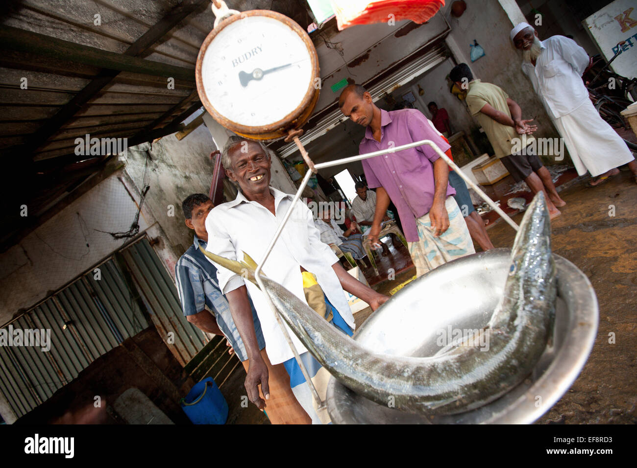 UNAWATUNA FISH MARKET; FISHERMEN WEIGHING THEIR DAILY CATCH Stock Photo