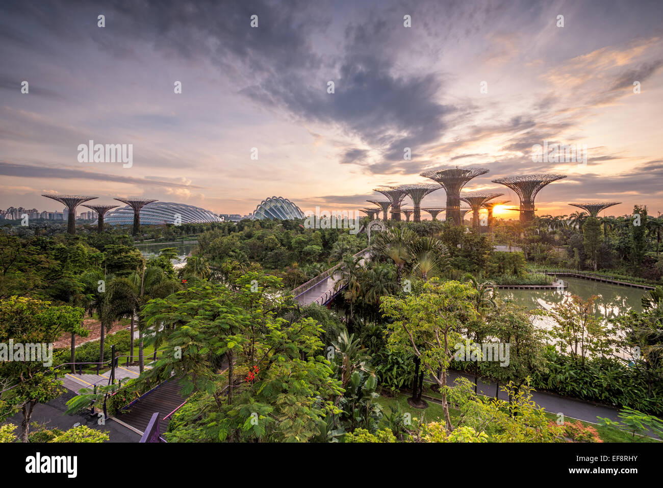 Gardens by the bay singapore aerial hi-res stock photography and images ...