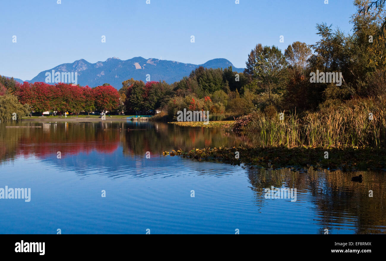 Canada, British Columbia, Vancouver, Mountains and Trout lake in autumn