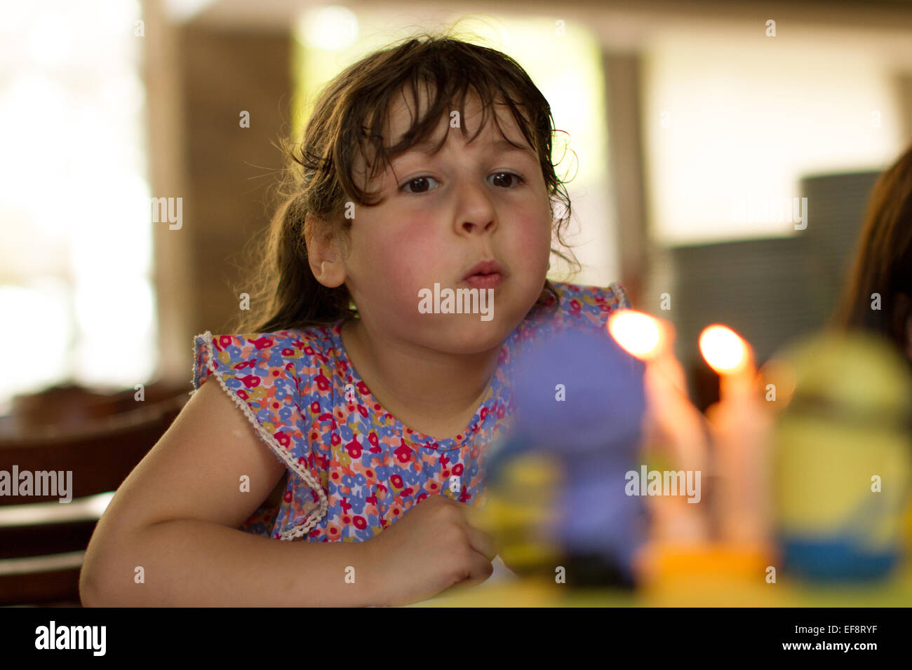 Girl blowing out candles on her birthday cake Stock Photo Alamy