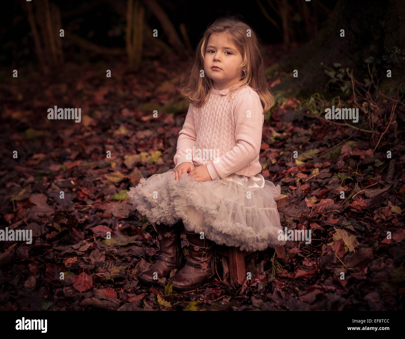 Portrait of girl sitting in autumn forest Stock Photo - Alamy