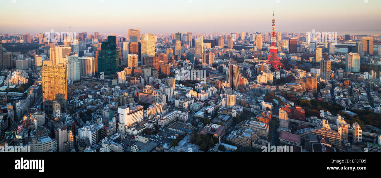 City skyline with Tokyo Tower, Tokyo, Honshu, Japan Stock Photo