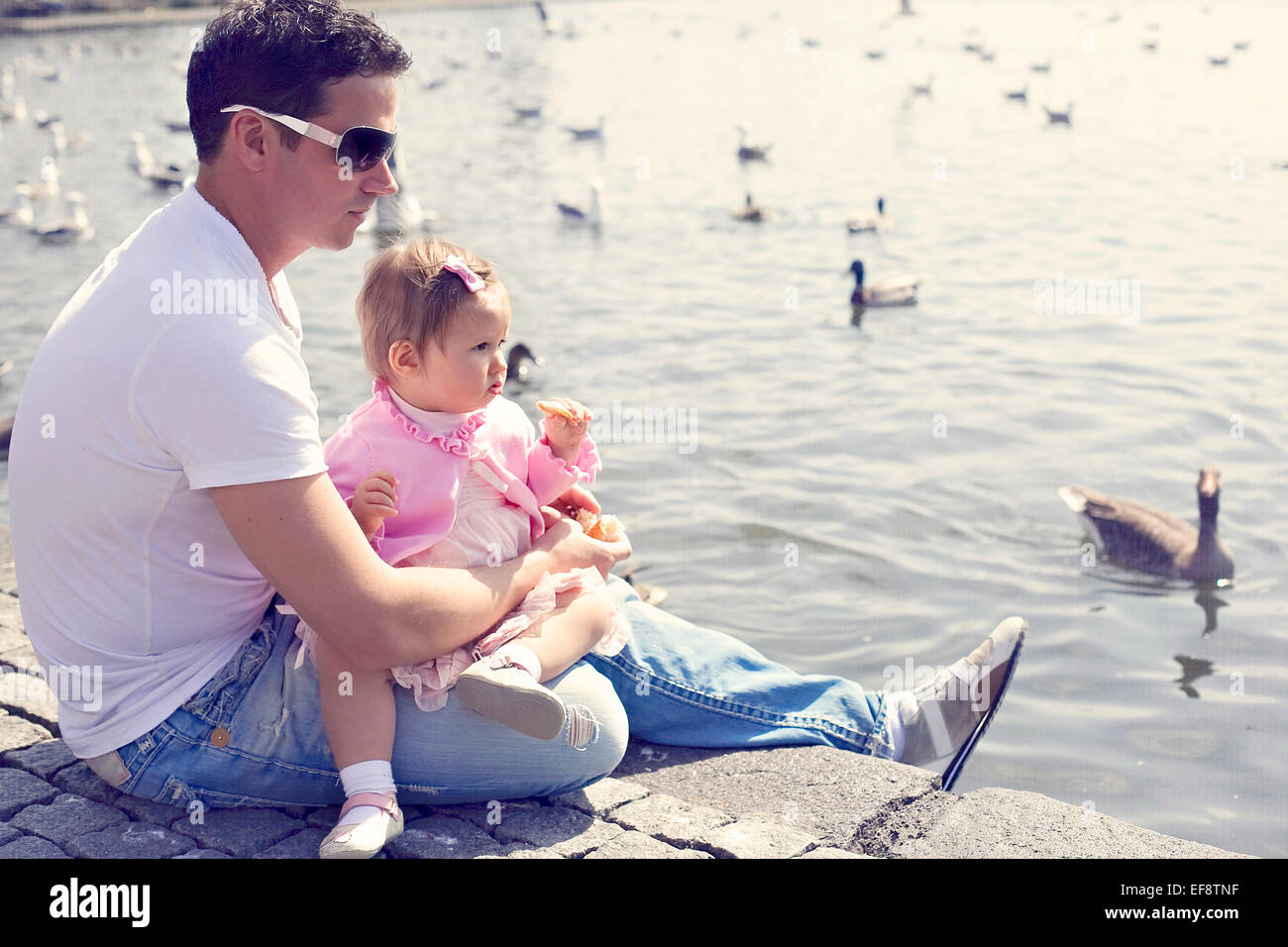 Iceland, Father and daughter (12-17months) sitting by lake with swimming ducks Stock Photo