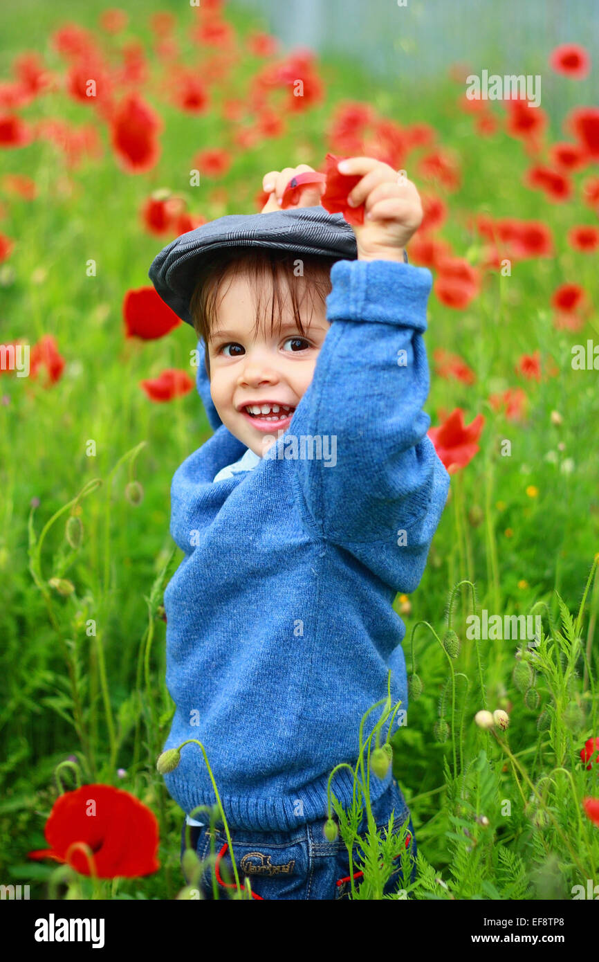 Little boy (2-3) standing in field of poppies Stock Photo - Alamy
