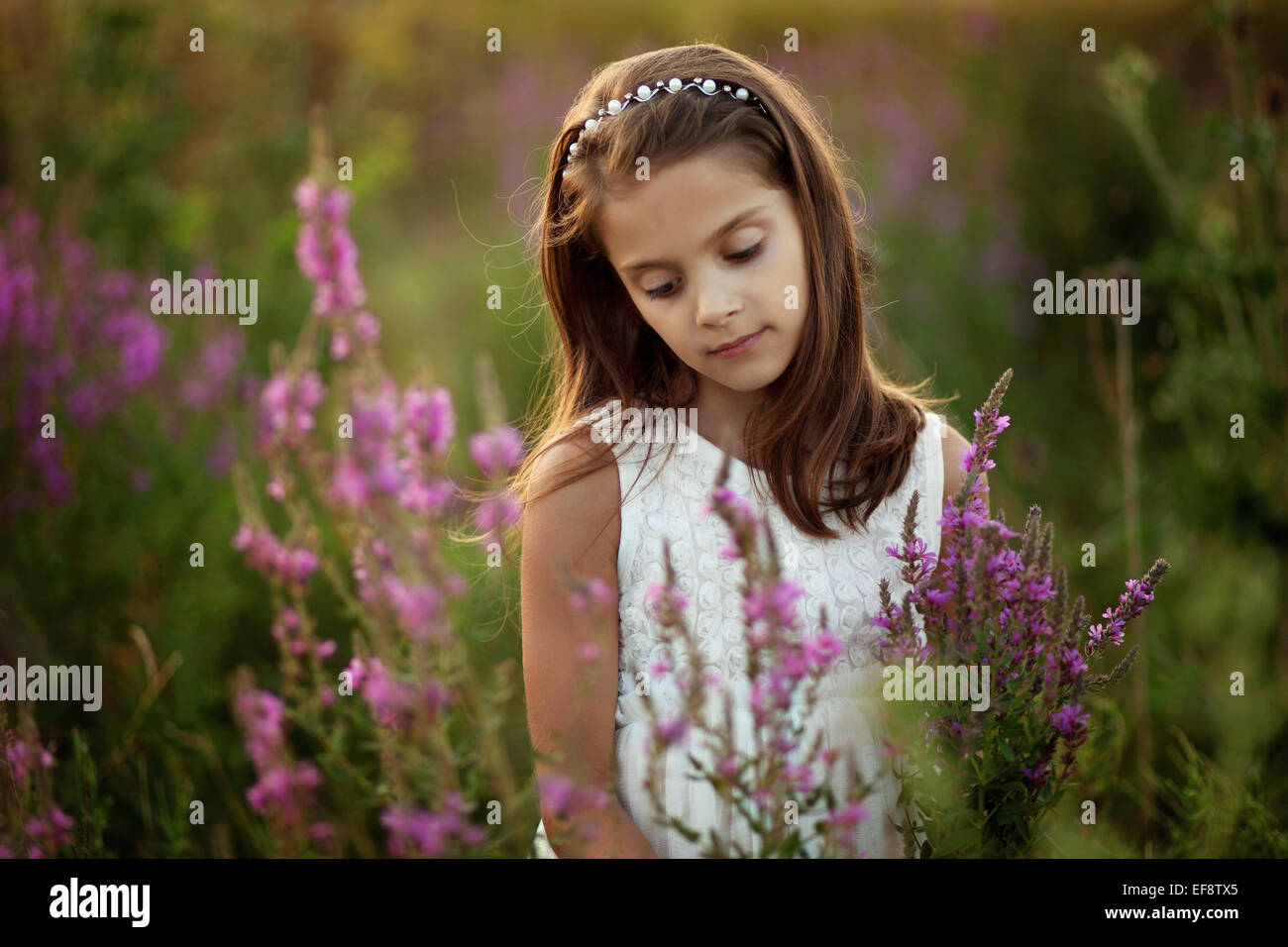 Portrait of girl (6-7) in meadow between flowers Stock Photo - Alamy