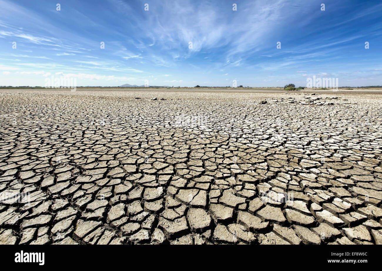 Barren plain with parched soil, Victoria, Australia Stock Photo