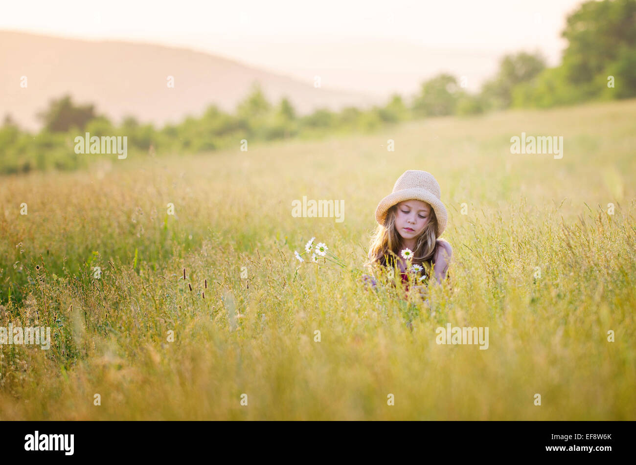 Girl (67) picking flowers in meadow Stock Photo Alamy