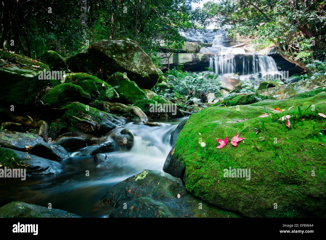 Thailand Phu Kradueng National Park Waterfall Stock Photo Alamy thailand-phu-kradueng-national-park-waterfall-stock-photo-alamy