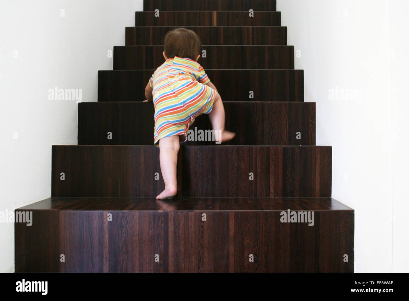 Baby climbing wooden stairs Stock Photo Alamy
