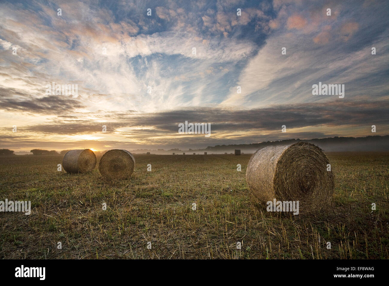 Sunrise over the field hi-res stock photography and images - Alamy