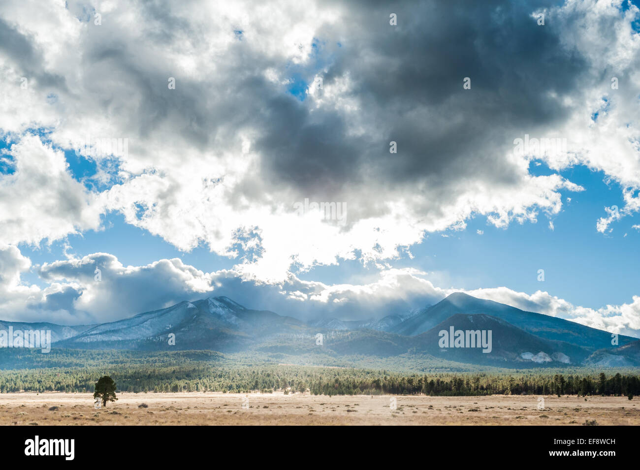 USA, Arizona, San Francisco Peaks, Flagstaff, Scenic view of landscape Stock Photo