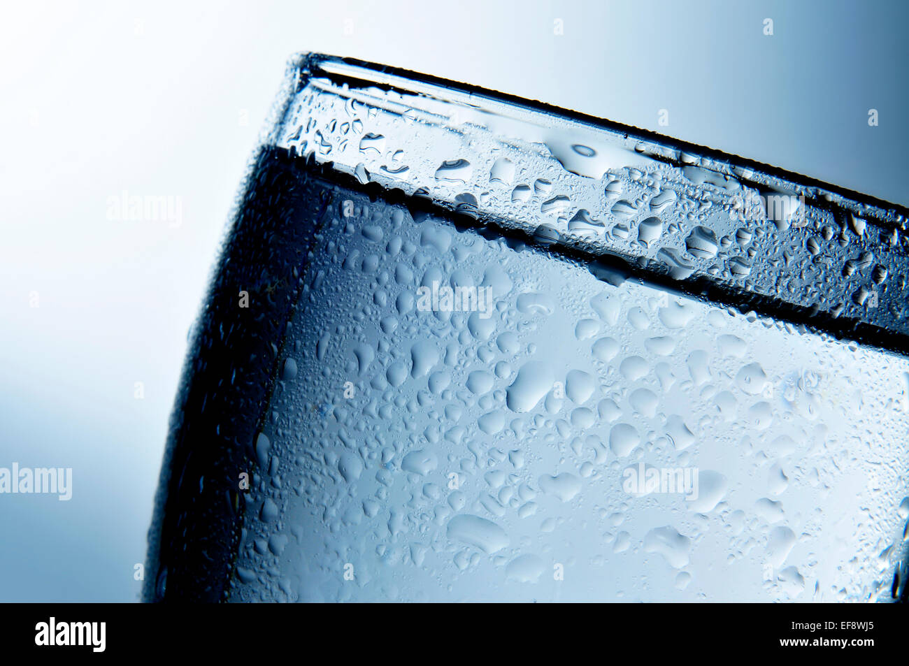 closeup of a glass with an alcoholic beverage Stock Photo