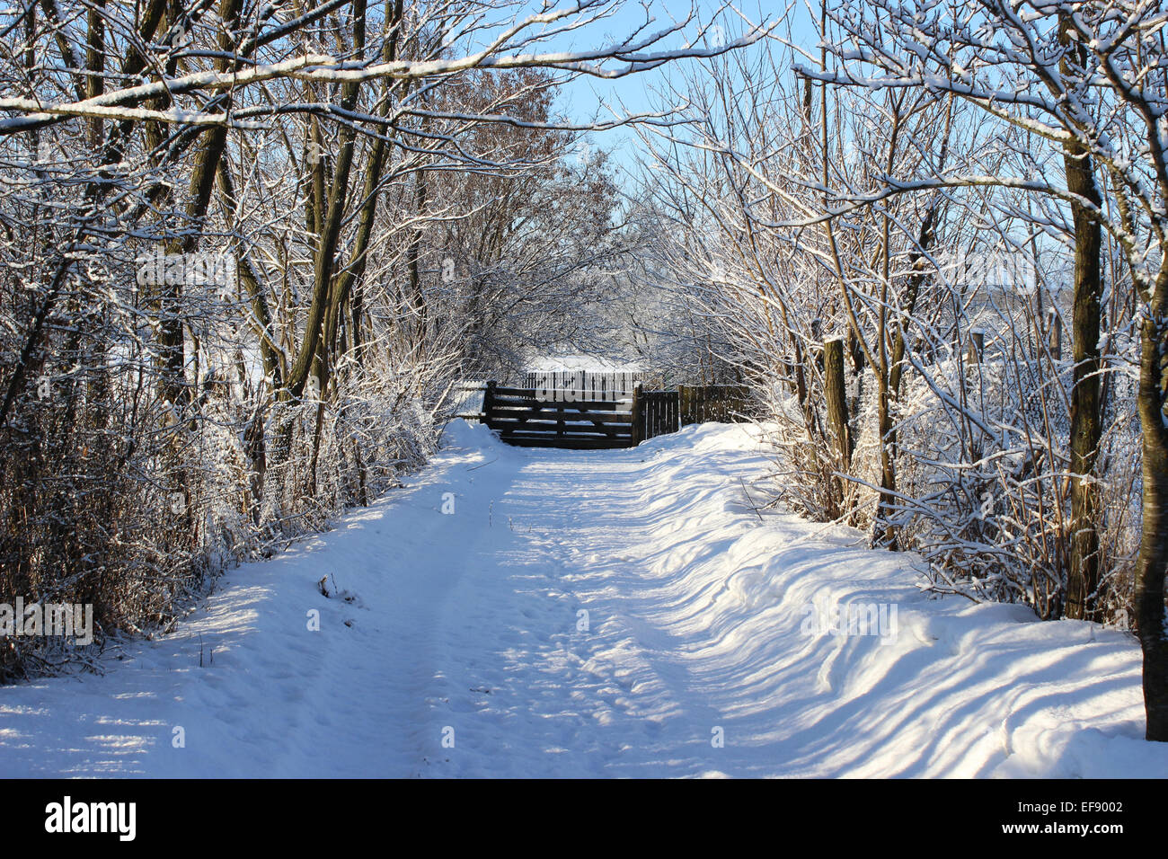 Alley covered with snow Stock Photo - Alamy