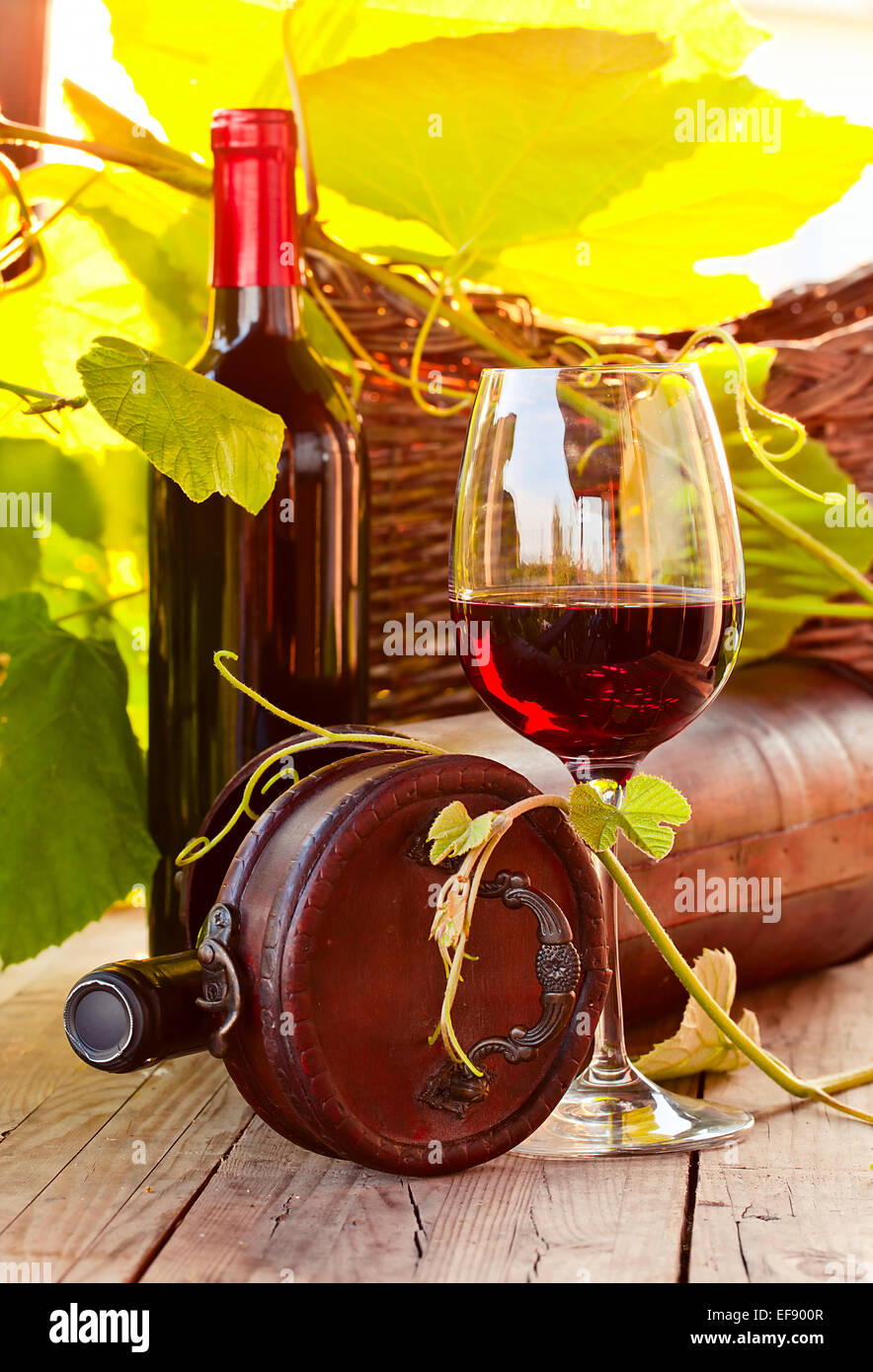 bottles and glass with red wine in vineyard Stock Photo - Alamy