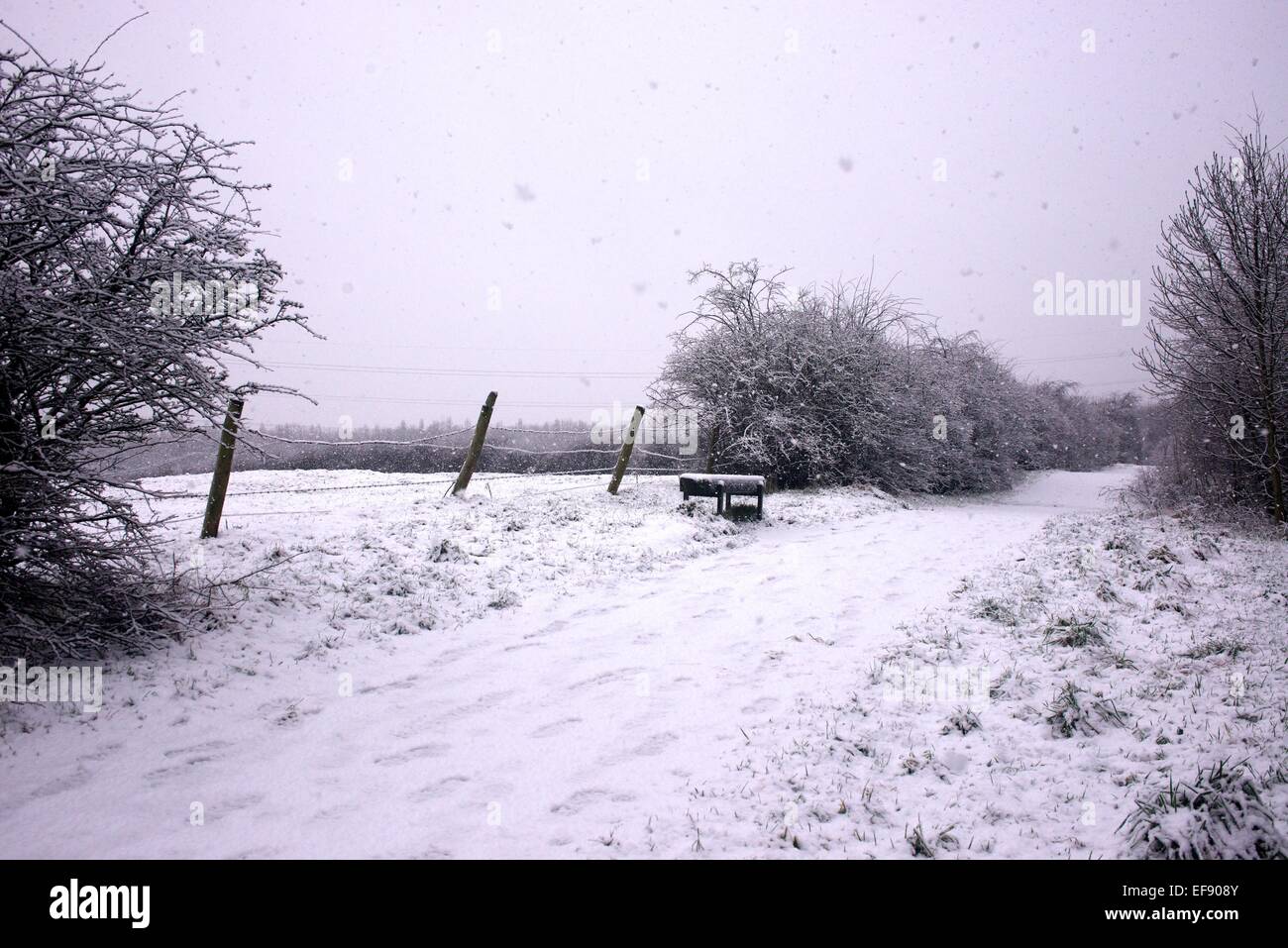 Manchester, UK. 29th January, 2015. UK Weather Heavy snow falls in Didsbury South Manchester