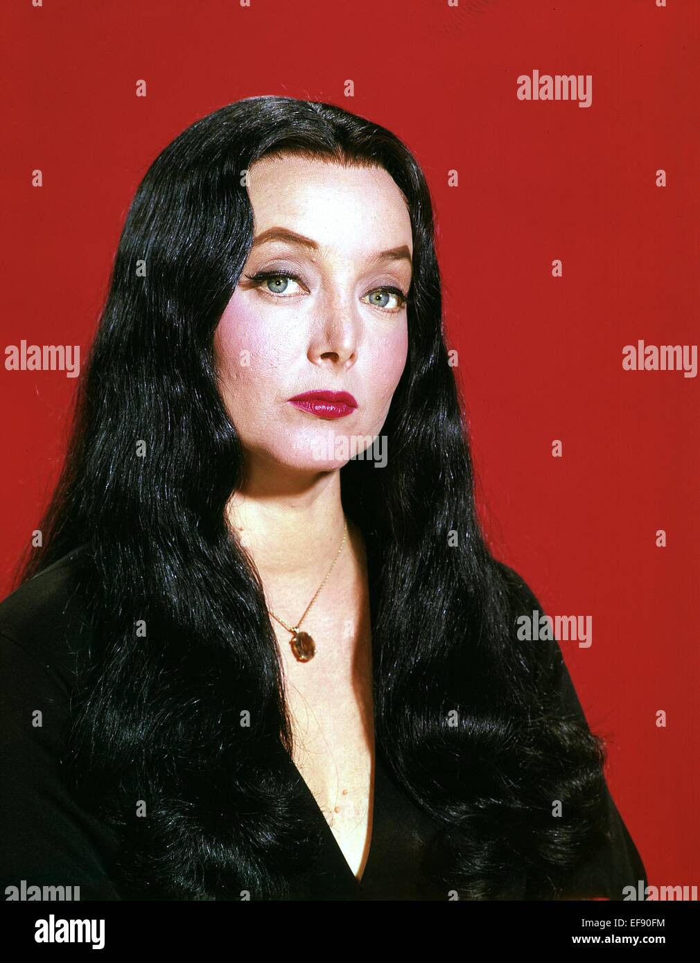 Carolyn Jones Carolyn Jones new pics Carolyn Jones Carolyn Jones new images