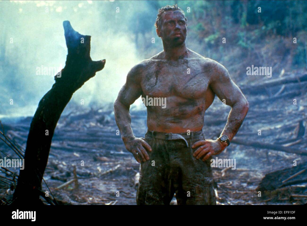 predator schwarzenegger