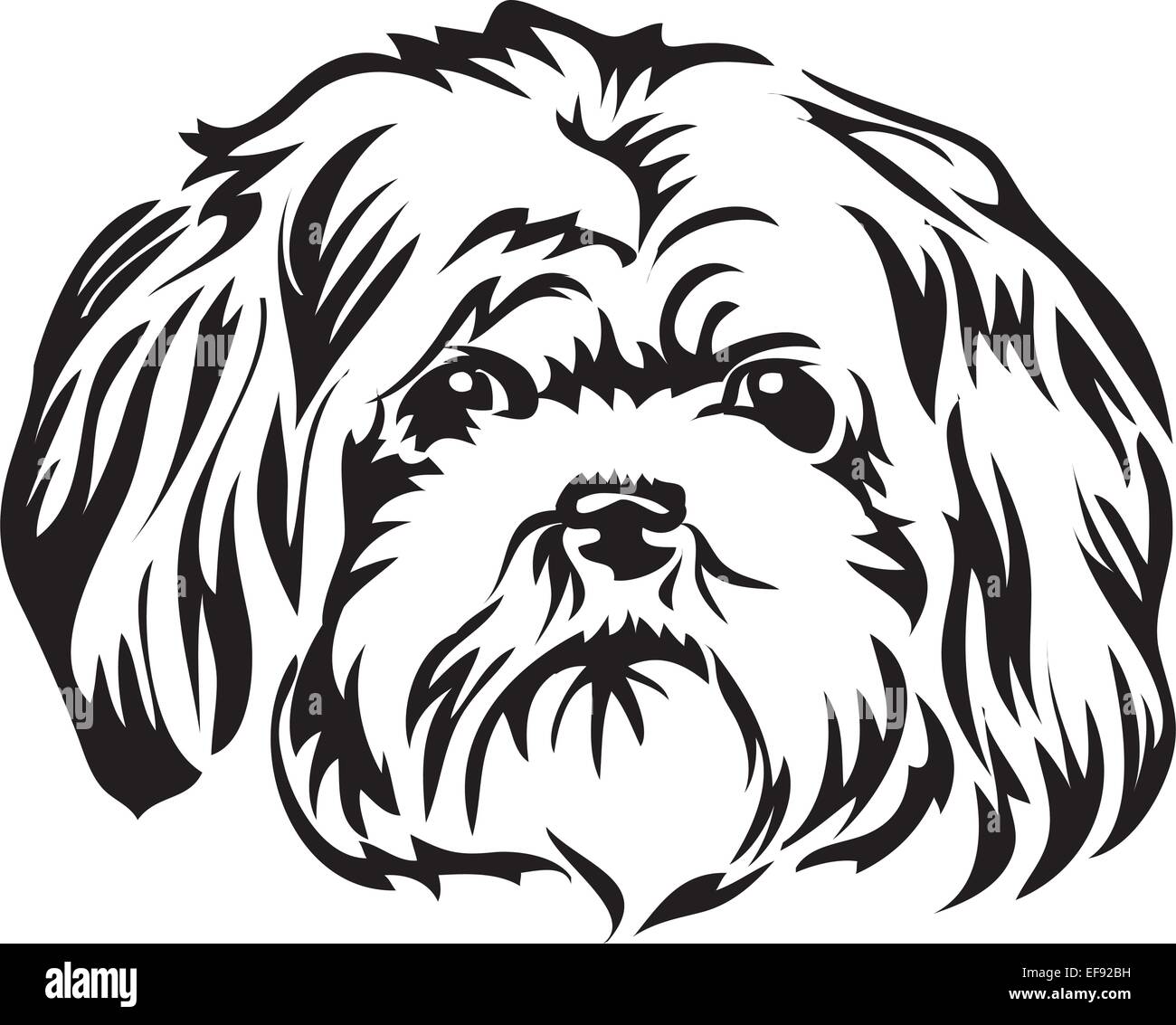 A dogs face Stock Vector Image & Art - Alamy