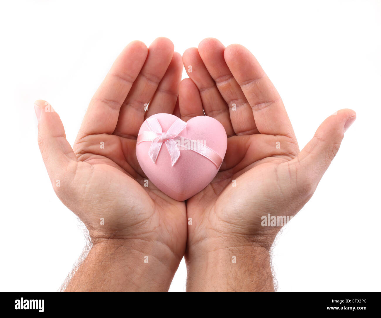 Pink heart in male hands on a white background. Stock Photo