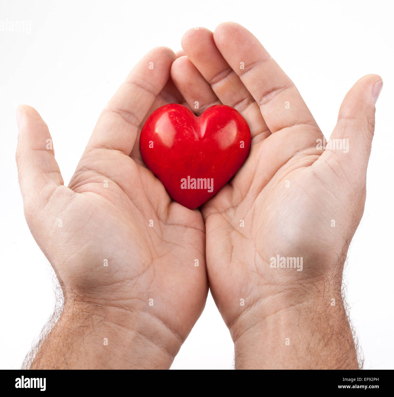 Red heart in male hands on a white background. Stock Photo