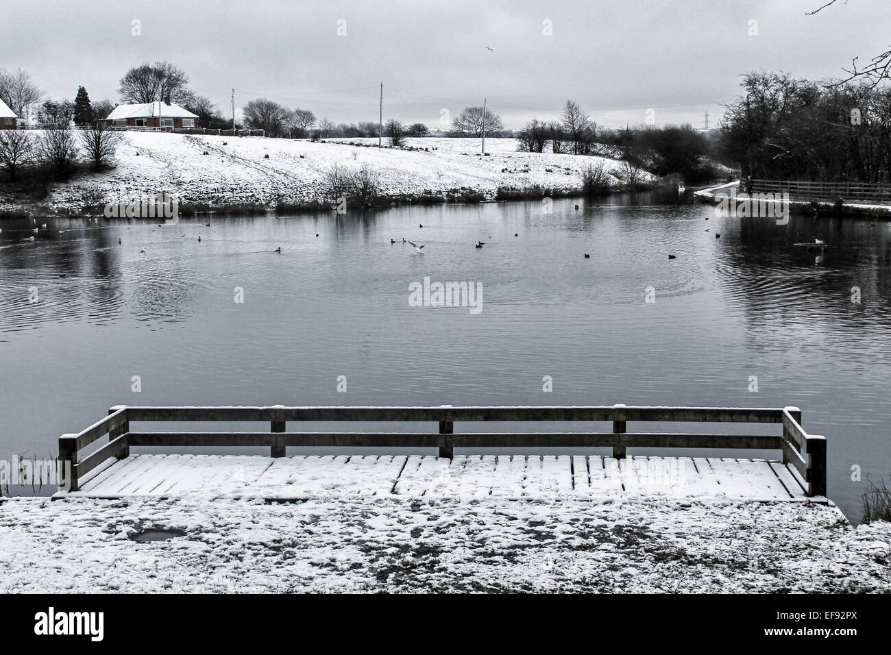 Winter at Daisy Nook. Stock Photo