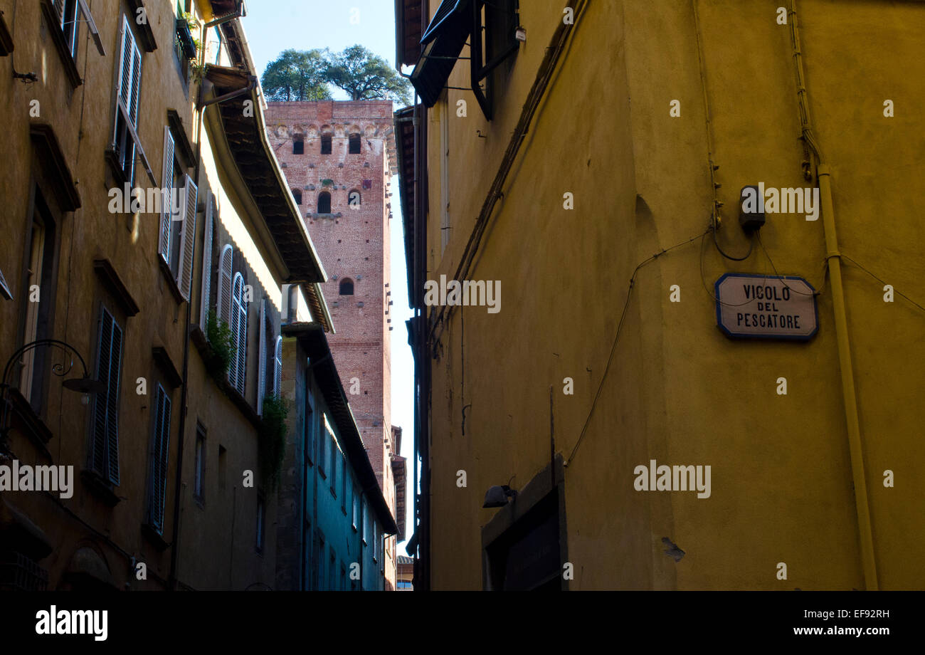 Street view looking up to the Guinigi Tower in Lucca, Tuscany, Italy Stock Photo