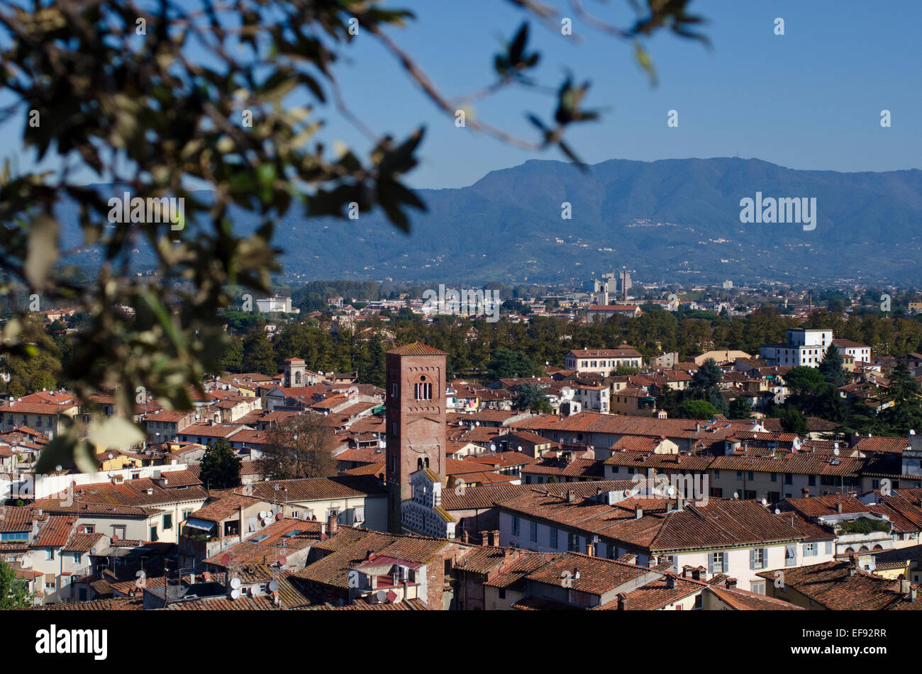View showing dell'Orologio tower  from the top of the Guinigi tower in Lucca, Tuscany, Italy Stock Photo