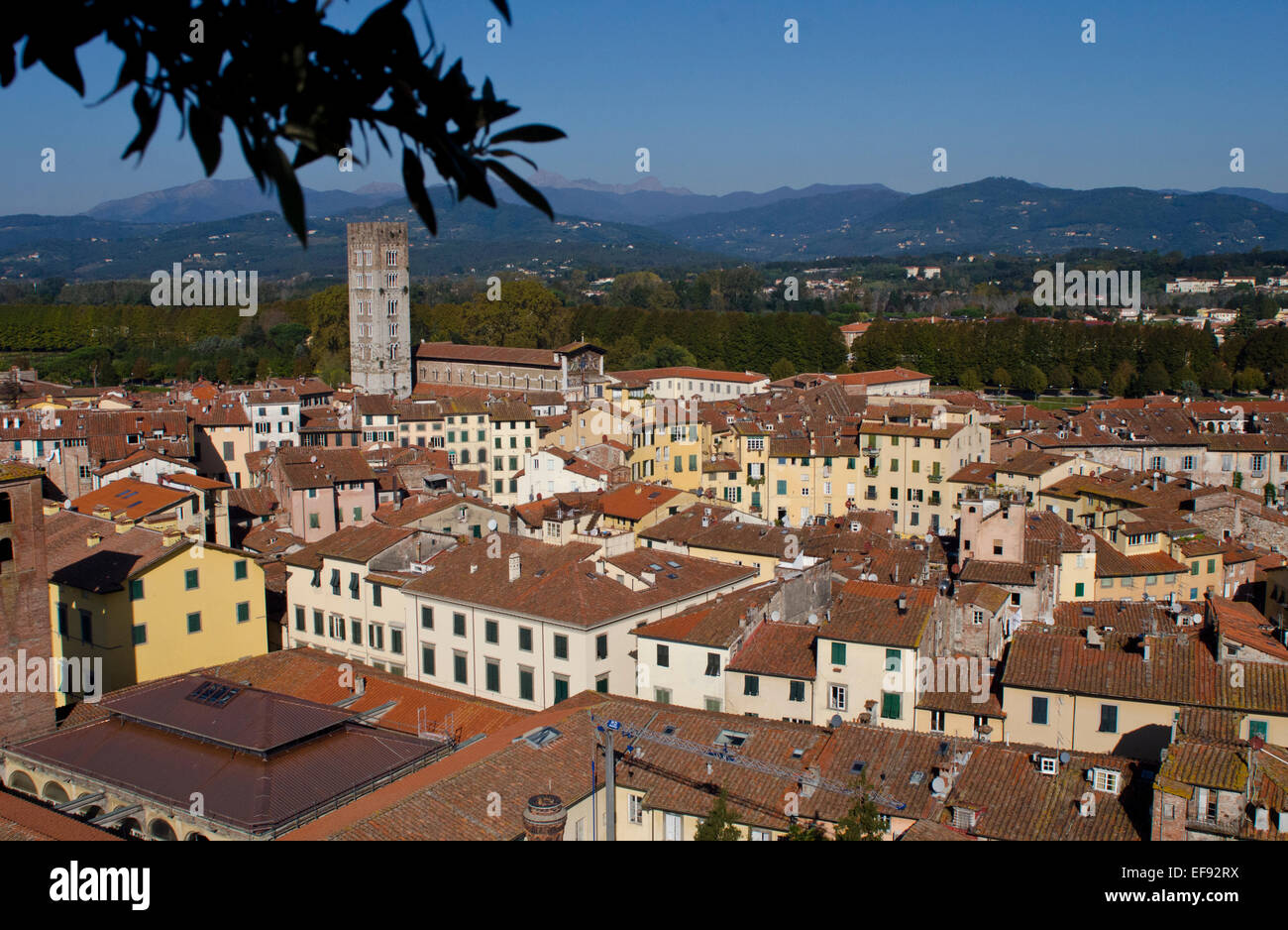 View from the top of the Guinigi tower showing the Roman Amphiteatre in Lucca, Tuscany, Italy Stock Photo