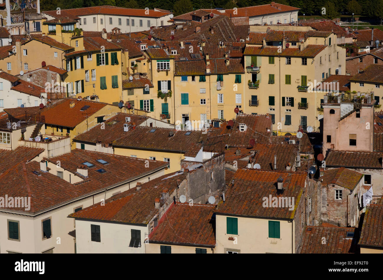 View from the top of the Guinigi tower showing the Roman Amphiteater in Lucca, Tuscany, Italy Stock Photo