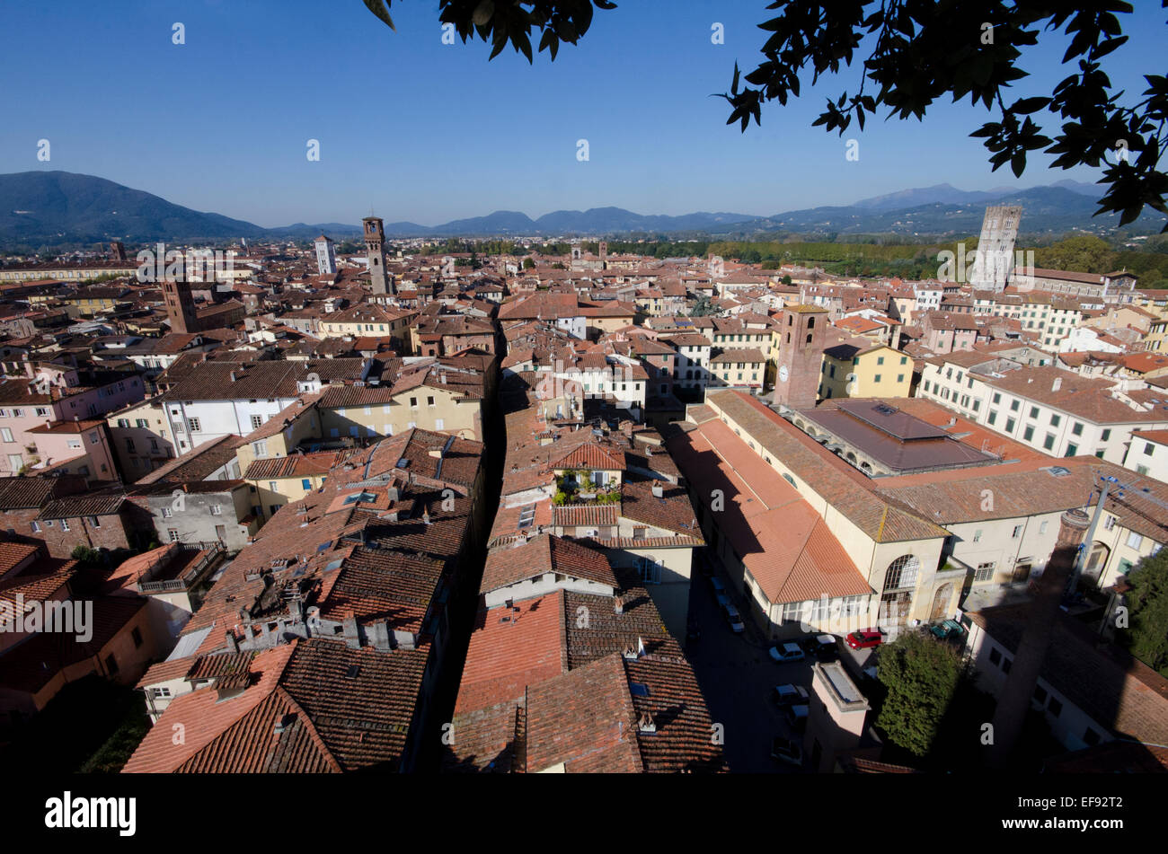 View from the top of the Guinigi tower in Lucca, Tuscany, Italy Stock Photo