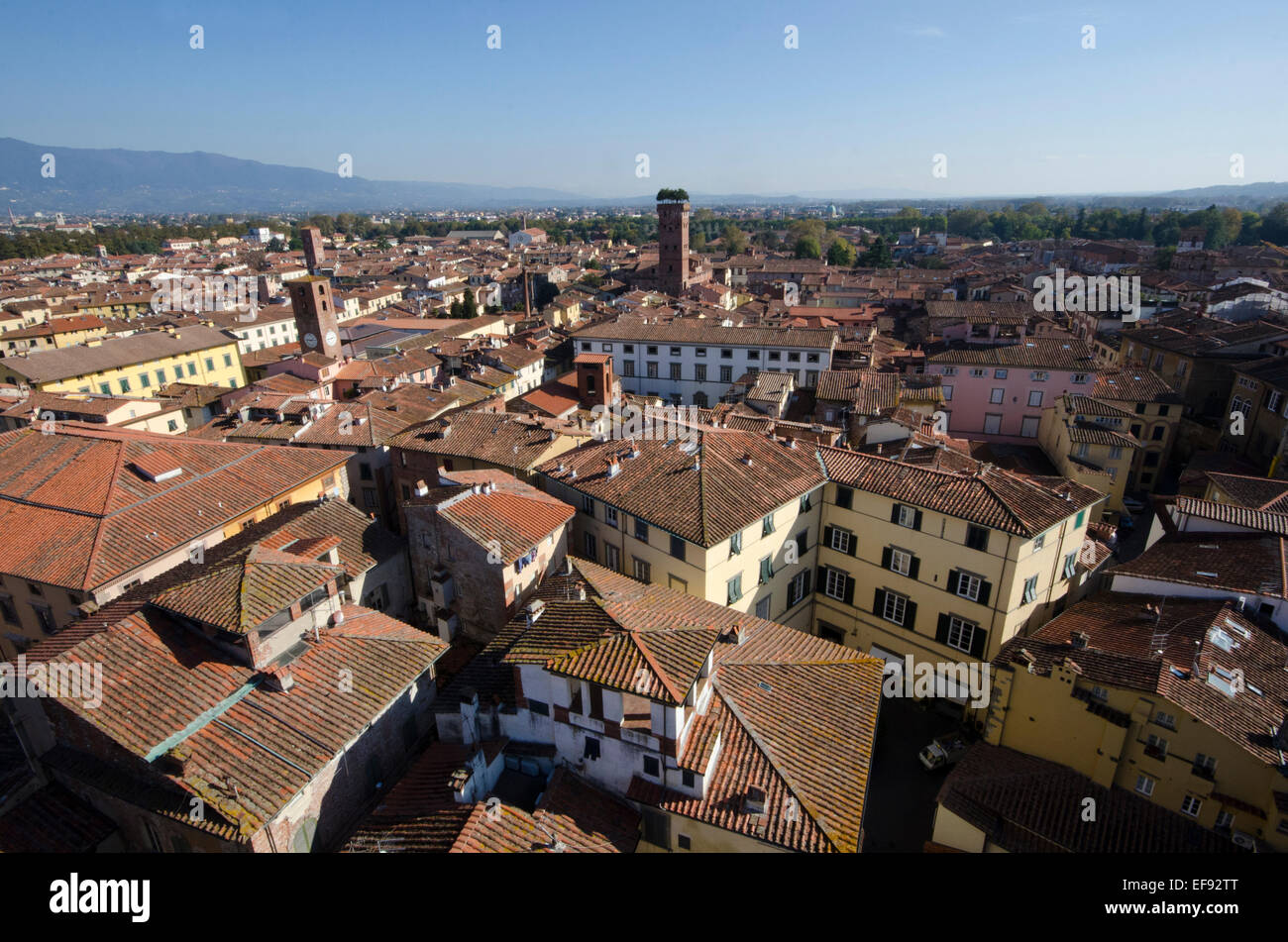 View of the city of Lucca showing the Guinigi tower from the tower dell'Orologio in Tuscany, Italy Stock Photo